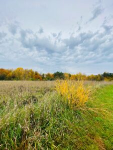 Read more about the article To The Mythical Land – Mr. Morgan P. McCarthy