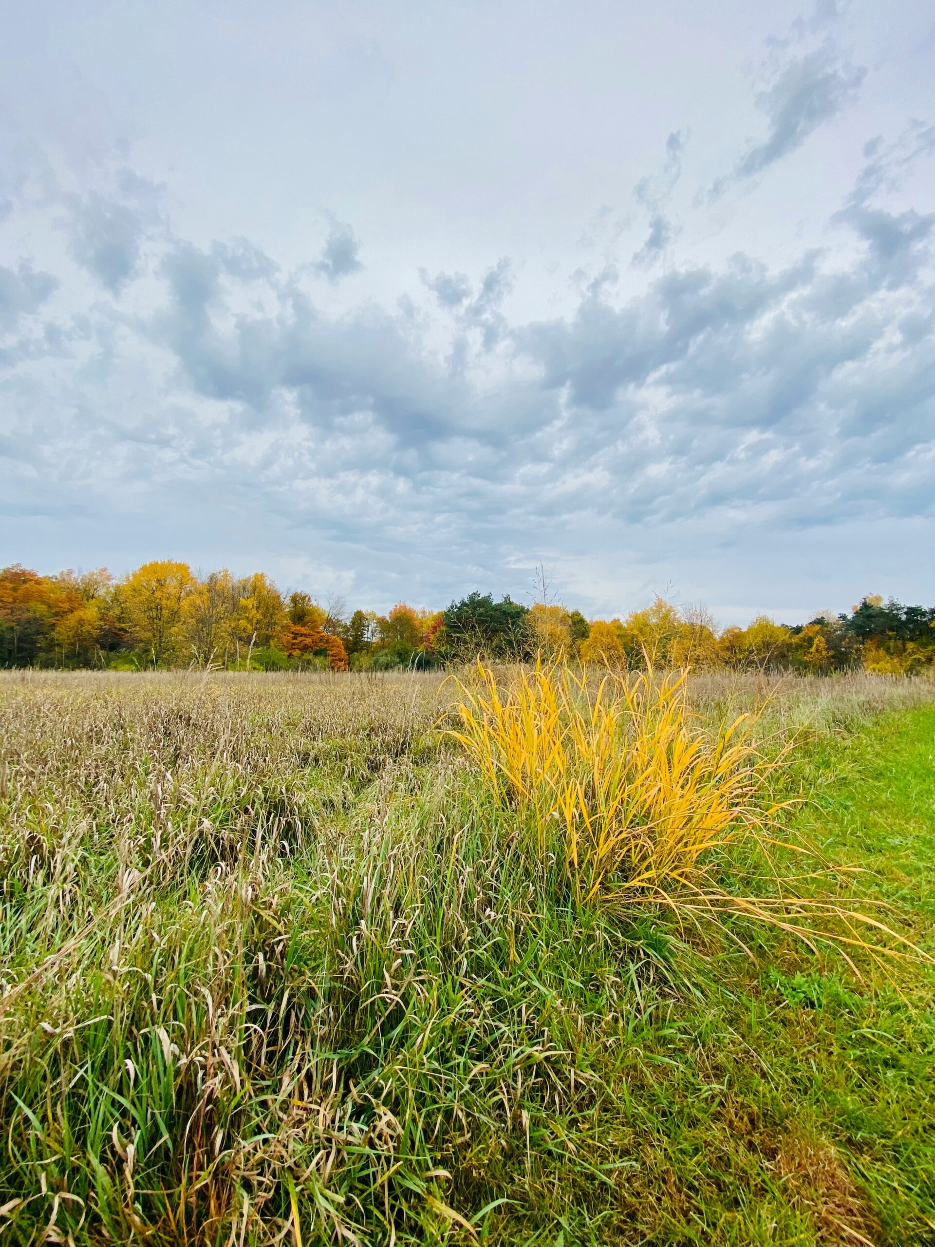 Read more about the article To The Mythical Land – Mr. Morgan P. McCarthy