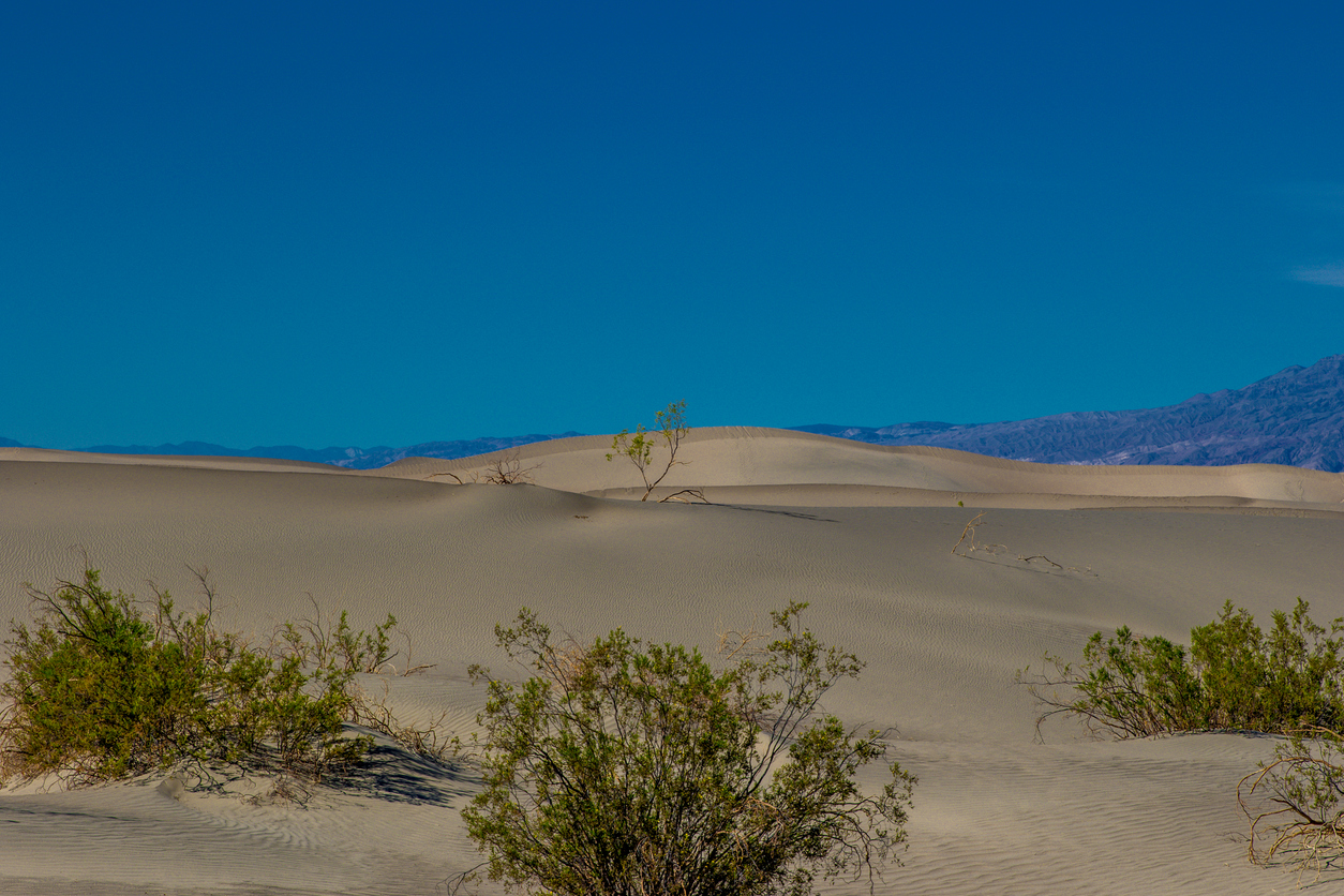 Read more about the article The Fabled Lands – Mr. Morgan P. McCarthy